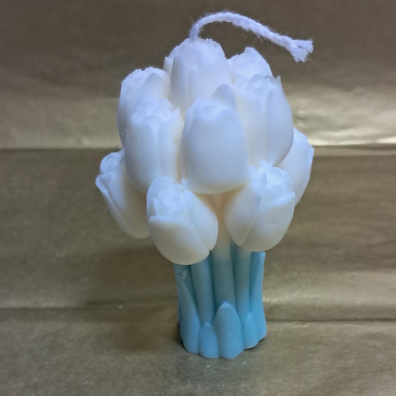 Bosje tulpen