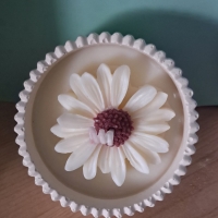 Bakje Daisy ( Bruin / wit )