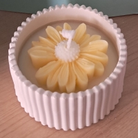 Bakje Daisy (Wit / Geel )